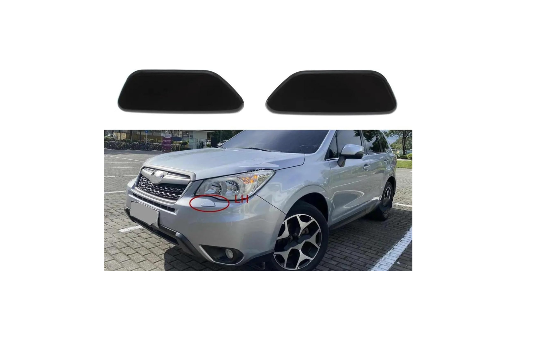 forester4